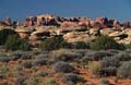 canyonlands np - the needles - utah 011